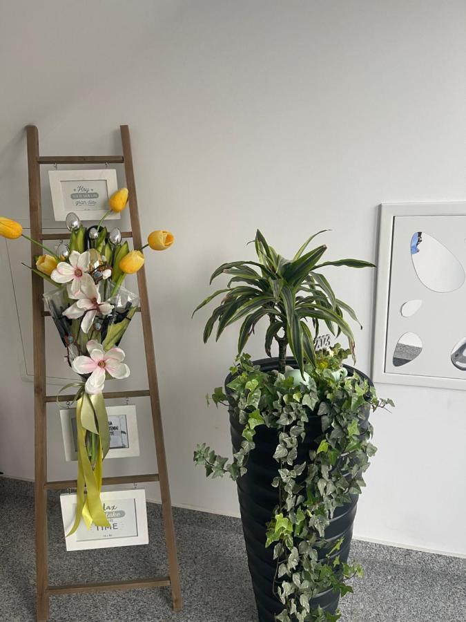 Am Apartments טימישוארה מראה חיצוני תמונה